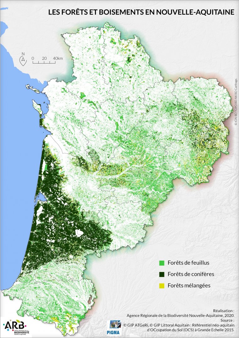 Les forêts et boisements de Nouvelle-Aquitaine en 2015