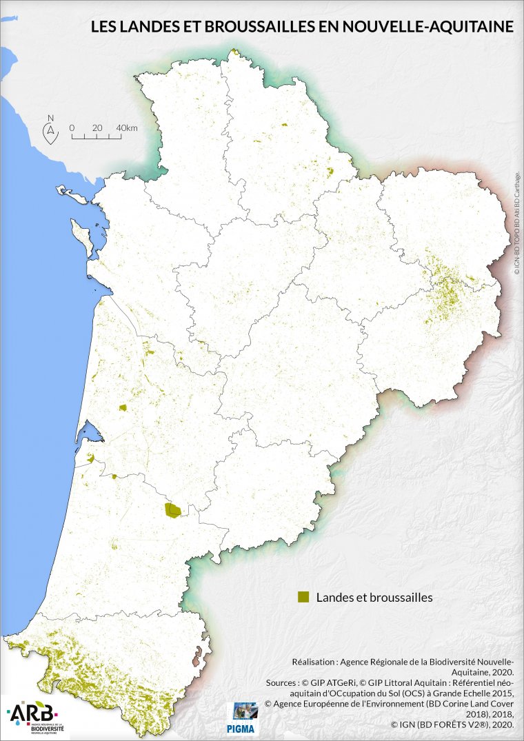 Les landes et broussailes de Nouvelle-Aquitaine en 2015