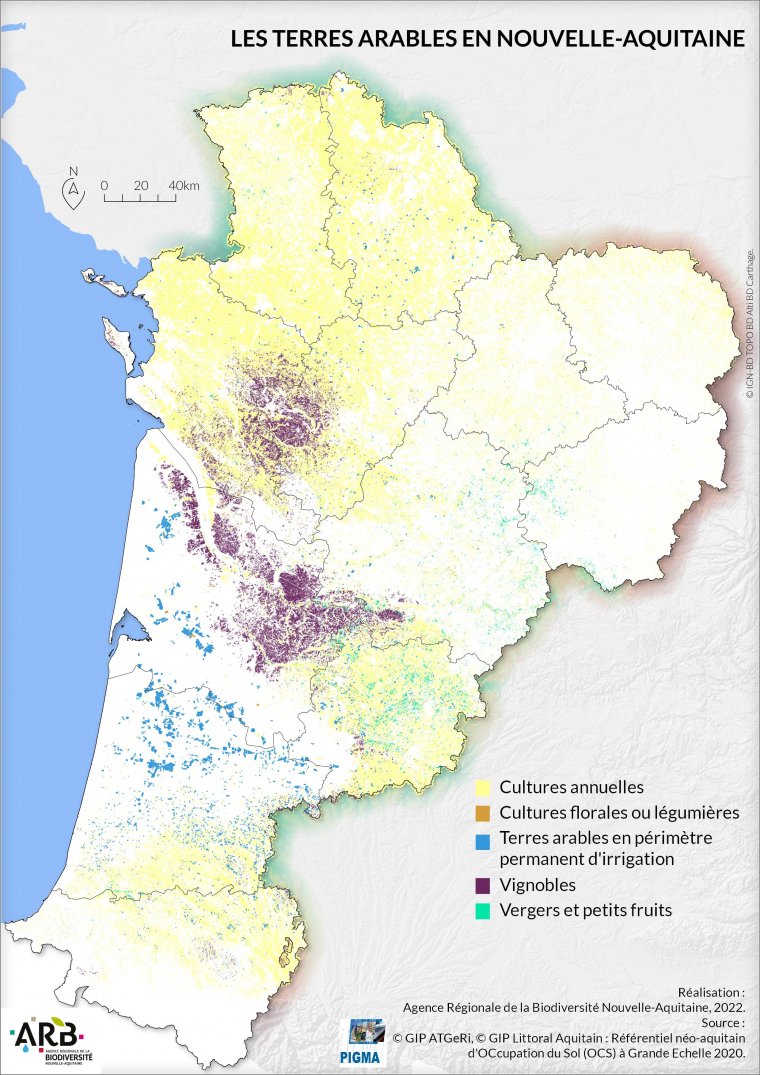 Les terres arables en Nouvelle-Aquitaine en 2020
