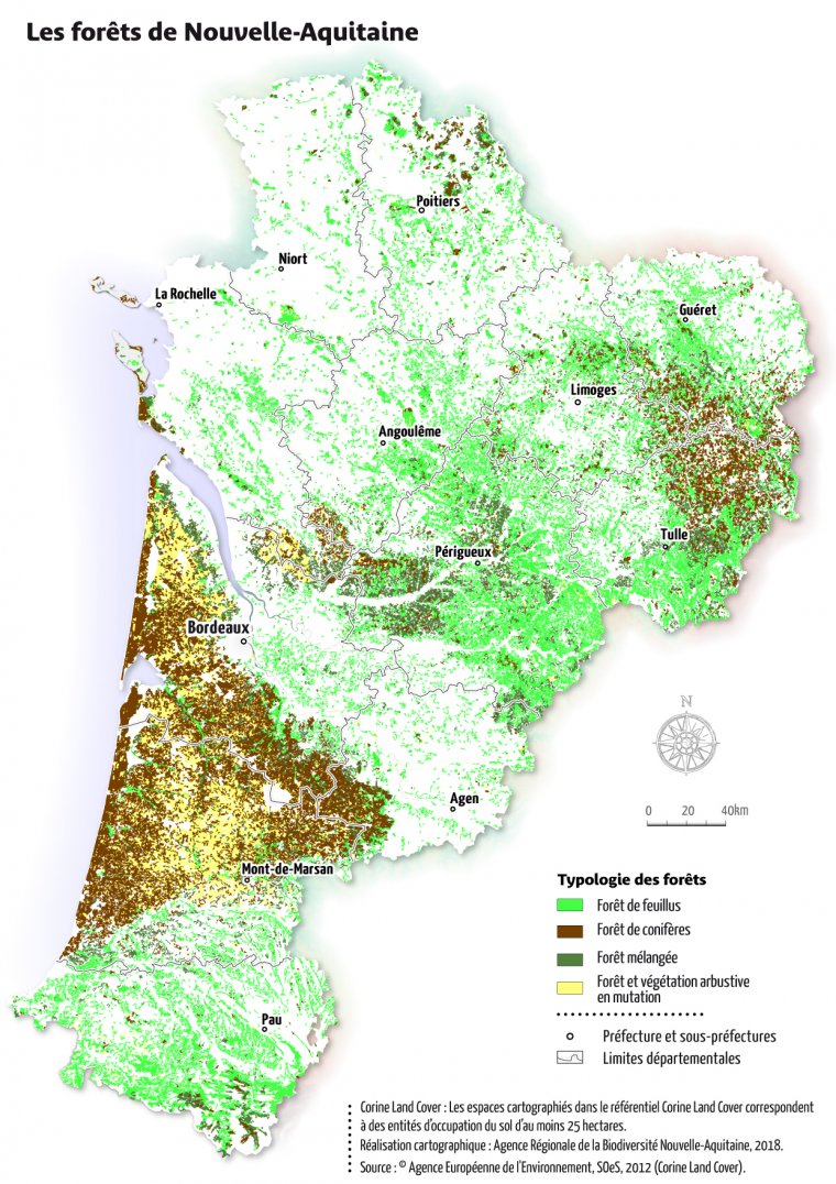 Les forêts de Nouvelle-Aquitaine en 2012