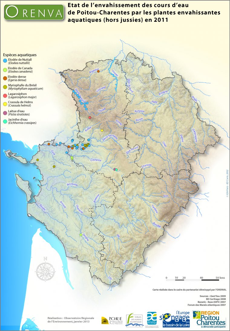 Observations de plantes envahissantes aquatiques (hors jussies) dans les cours d'eau de Poitou-Charentes, en 2011