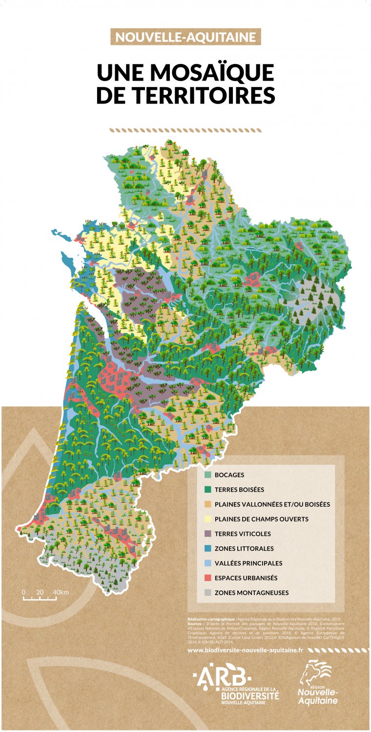 Nouvelle-Aquitaine : Une mosaïque de territoires