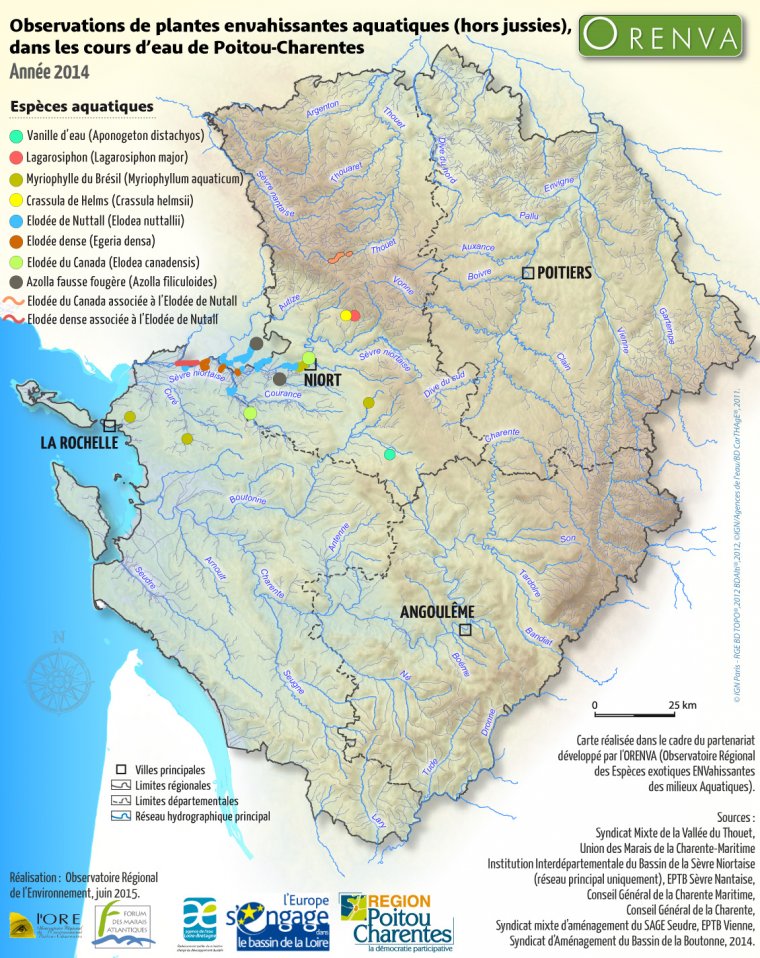 Observations de plantes envahissantes aquatiques (hors jussies) dans les cours d'eau de Poitou-Charentes, en 2014