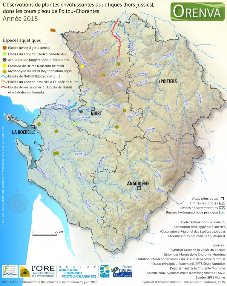 Observations de plantes envahissantes aquatiques (hors jussies) dans les cours d'eau de Poitou-Charentes, en 2015