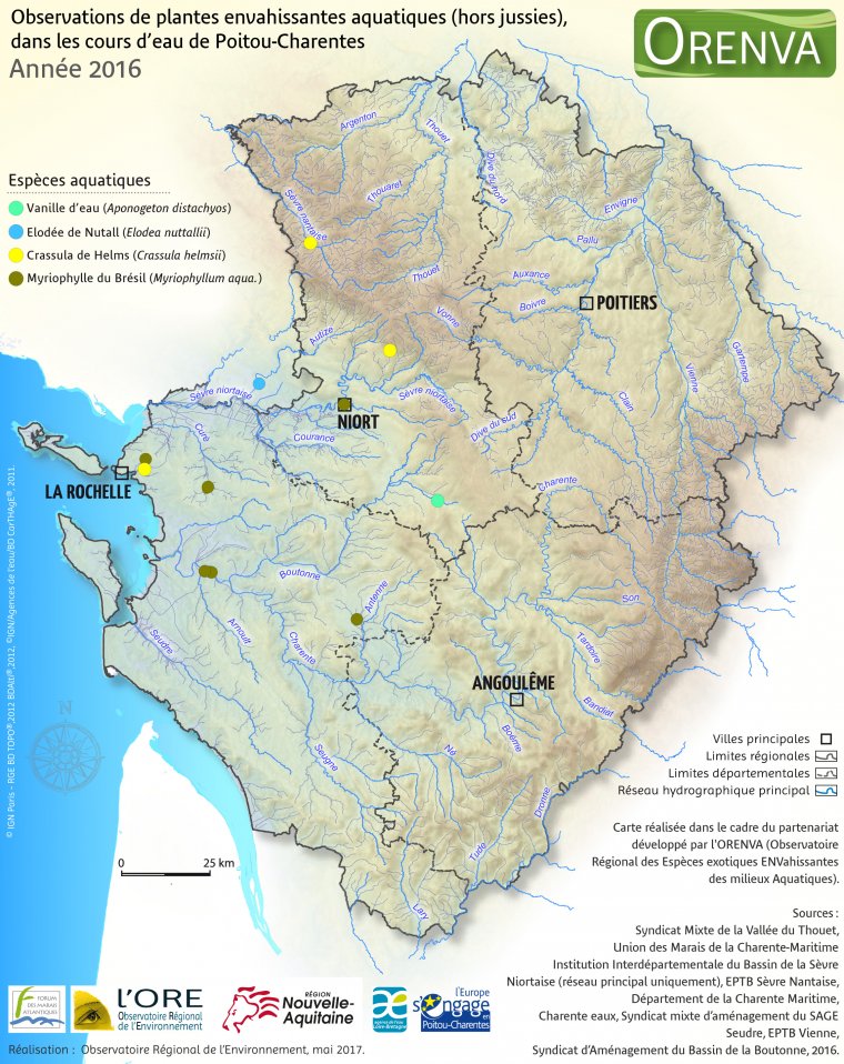 Observations de plantes envahissantes aquatiques (hors jussies) dans les cours d'eau de Poitou-Charentes, en 2016