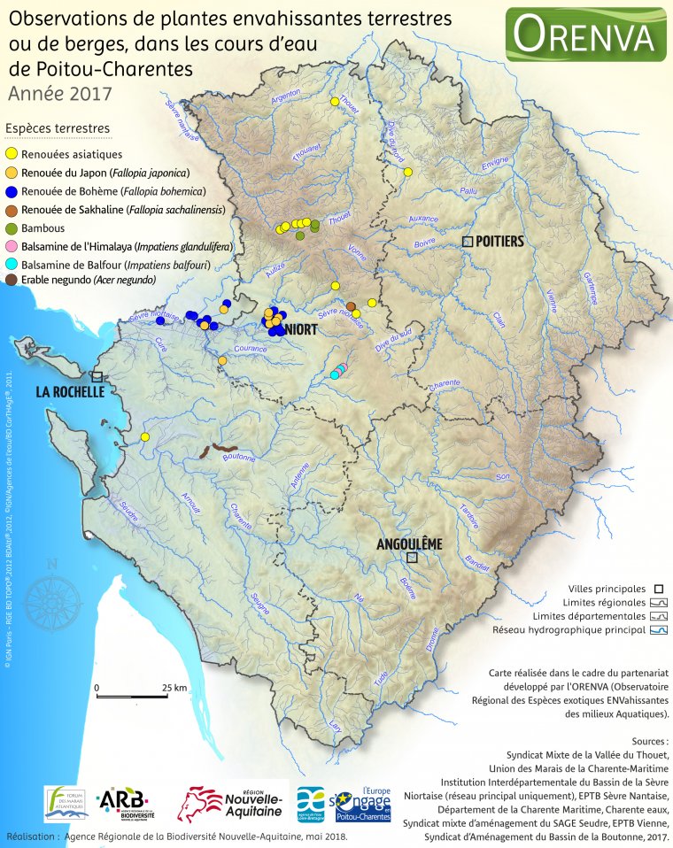 Observations de plantes terrestres de berges dans les cours d'eau de Poitou-Charentes, en 2017