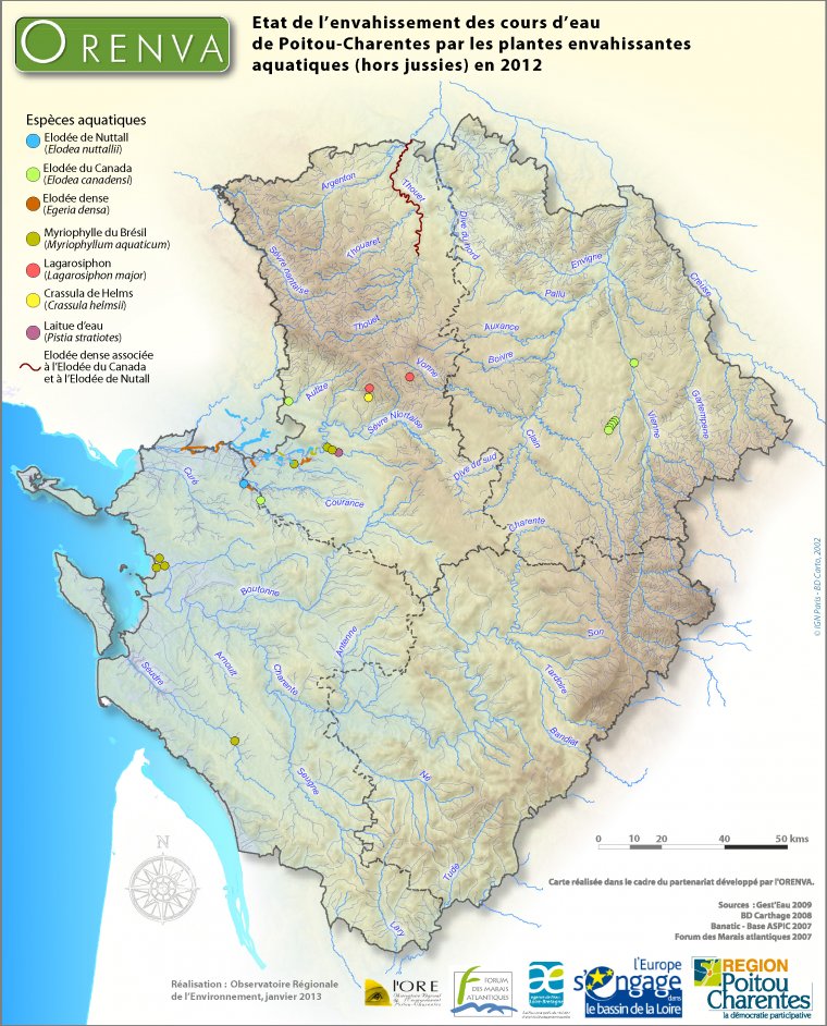 Observations de plantes envahissantes aquatiques (hors jussies) dans les cours d'eau de Poitou-Charentes, en 2012