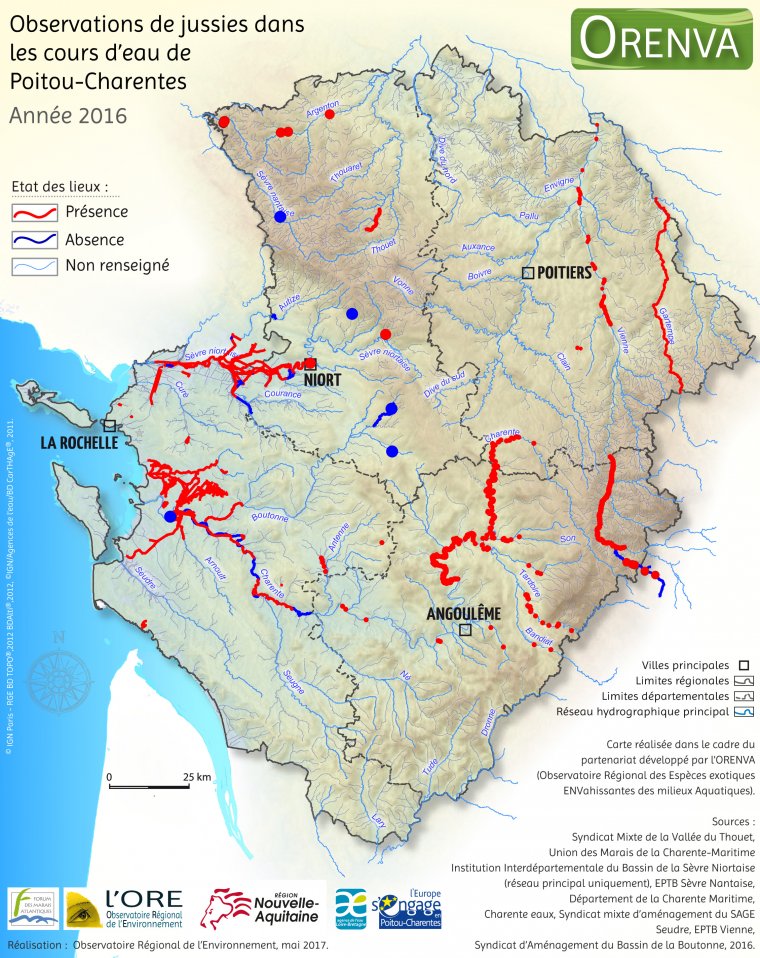 Observations de jussies dans les cours d'eau de Poitou-Charentes, en 2016