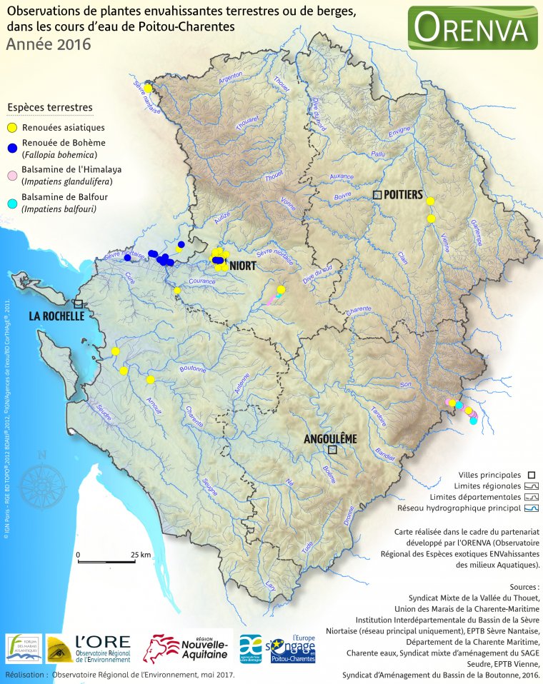 Observations de plantes terrestres de berges dans les cours d'eau de Poitou-Charentes, en 2016