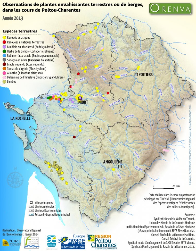 Observations de plantes terrestres de berges en région Poitou-Charentes en 2013