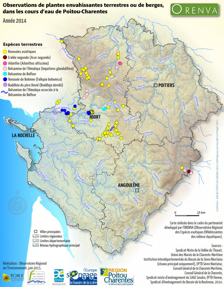 Observations de plantes terrestres de berges en région Poitou-Charentes en 2014